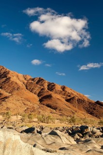 Desert landscape