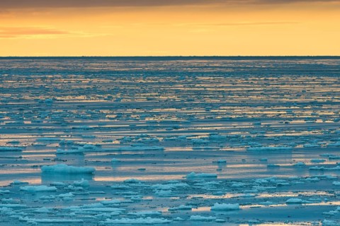 Ice floes