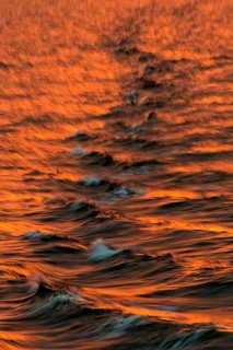 Bow waves in the evening light