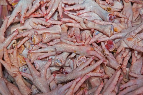 Chicken feet for sale at a market in Chiang Mai