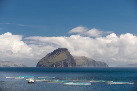 Fish farm