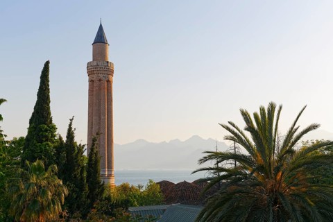 Fluted Minaret