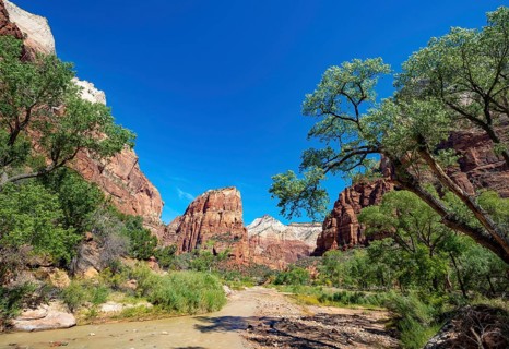View of Angels Landing