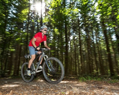 Cyclist on a mountainbike riding through a forest