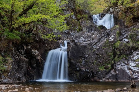 Waterfall in a forest