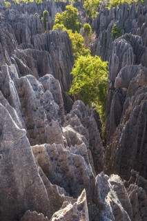 Rugged limestone rocks