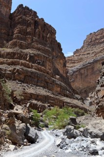 Jebel Shams Canyon