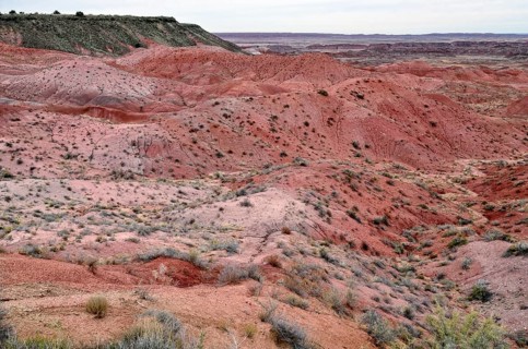 Painted Desert