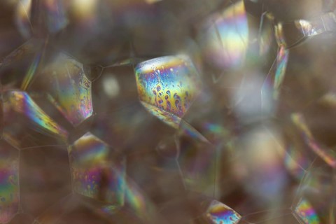 Bubbles