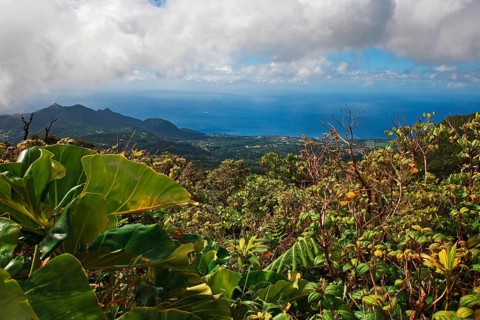 View towards Saint-Claude from La Soufriere volcano