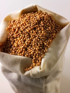 Mustard seeds