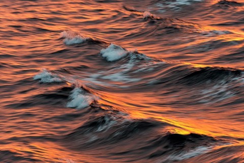 Bow waves in the evening light