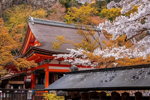 Okuno-in Hall of Kiyomizu-dera Temple