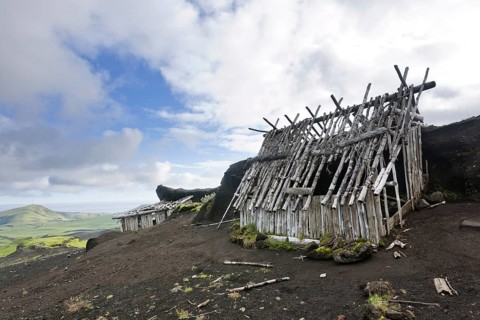 Dilapidated sheep shed