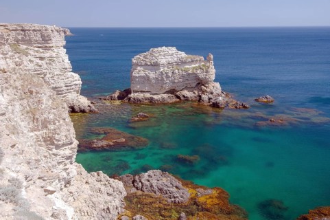 Turtle Rock