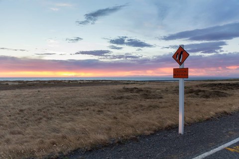 Warning sign 'Caution Penguins' on a coastal road at dusk