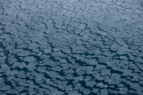 Floes created by slush