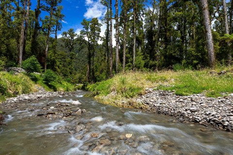 The Blackwater Creek below the Douglas Range