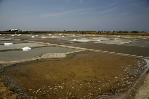 Salt farm