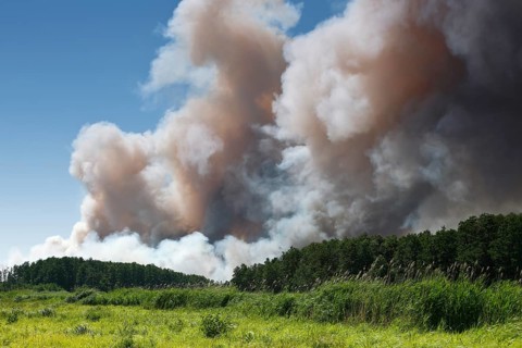 Fire on a grain field near Tutow