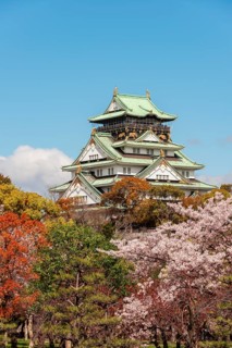 Osaka Castle with flowering cherry trees in the park