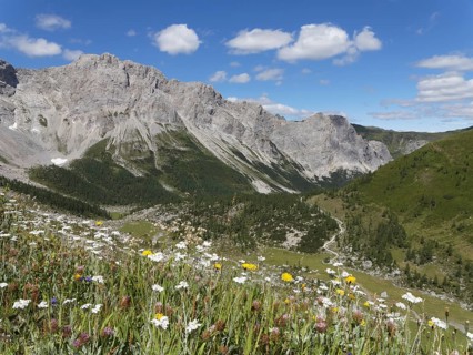 Obere Wolayer Alm mountain pasture with the Biegengebirge Mountains