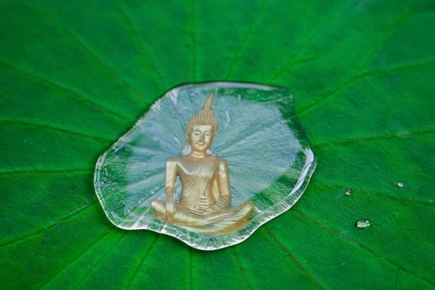 Buddha statue reflected in a drop of water on a lotus leaf