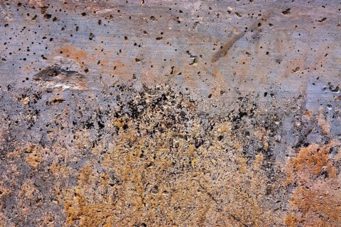 Texture