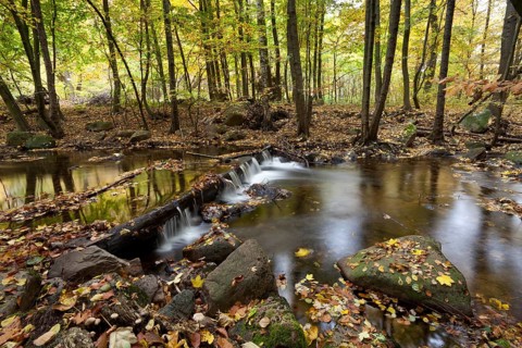 Ilse River in Ilsetal valley in autumn