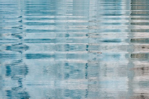 Ripples caused by glacial ice avalanche
