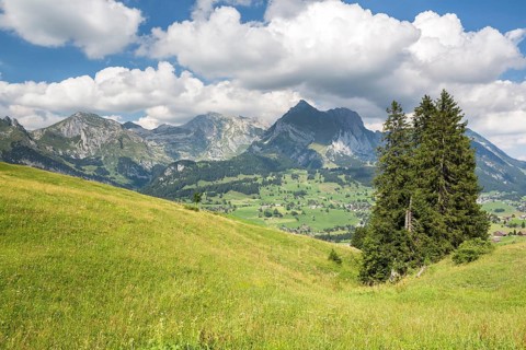 View from Klangweg or Sound Trail on Toggenburg Mountain towards the Alpstein Mountains with Saentis Mountain