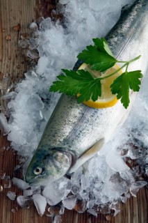 Freshly gutted brook trout with ice on a wooden surface