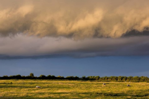 Dramatic clouds over a sheep pasture
