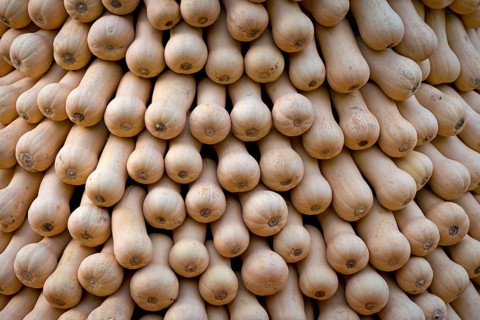 Bottle gourds