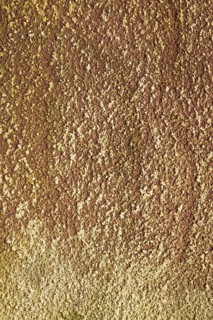 Texture