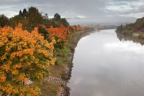 Ludwig-Danube-Main Canal in autumn