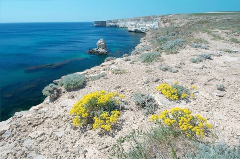 Coastline