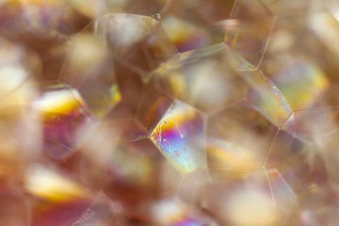 Bubbles