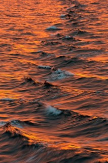 Bow waves in the evening light