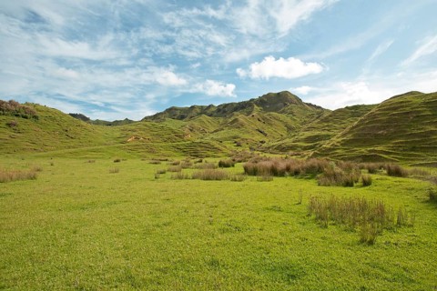 Landscape with green hills