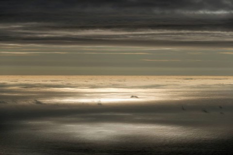 Sun reflecting on the surface of the sea
