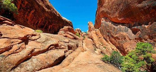 Devil's Garden