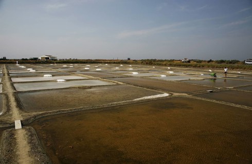 Salt farm