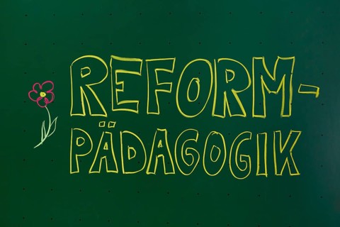 Reformpadagogik'