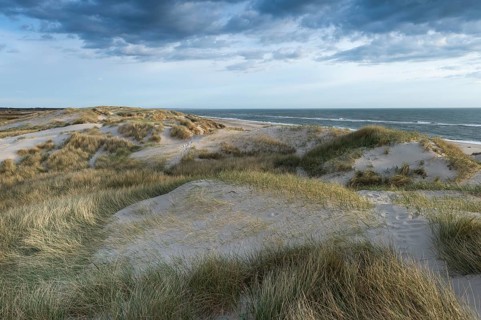 Dunes along the North Sea