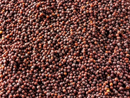 Black mustard seeds