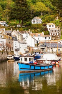Harbour with fishing boats