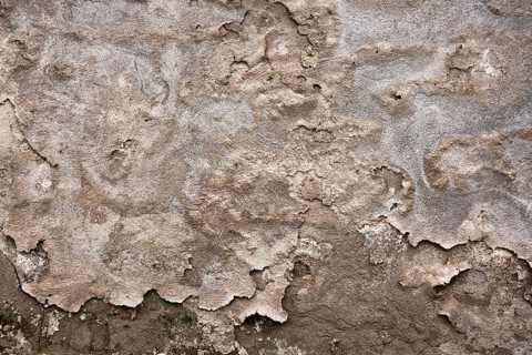 Texture