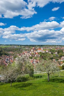 Townscape