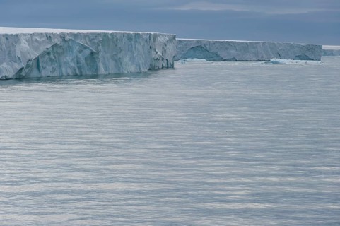 Brasvellbreen